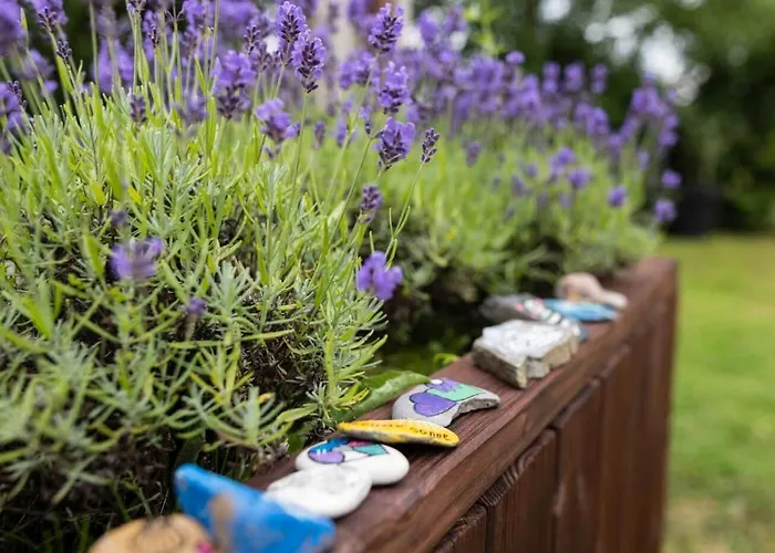 Gruppenhaus Haus Berchstein Appartement